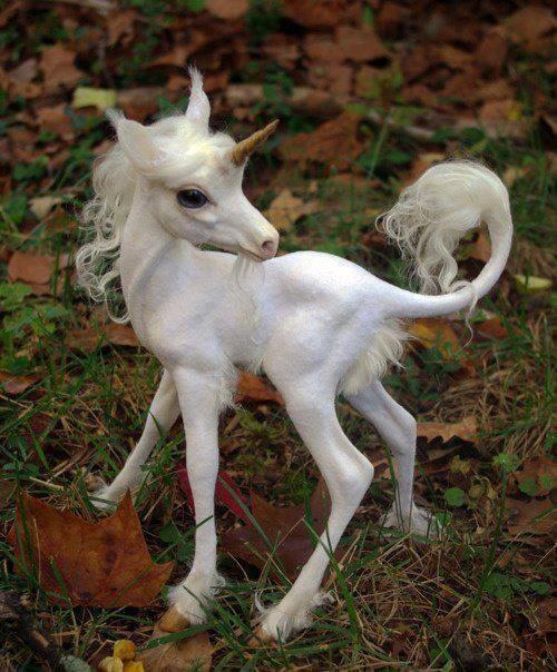 Unicorn-unicorns-32585682-500-604.jpg